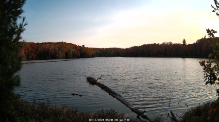 Image from 2024-10-10