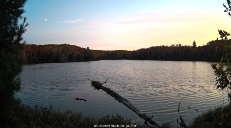 Image from 2024-10-10