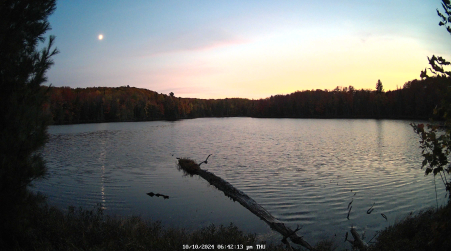 Image from 2024-10-10