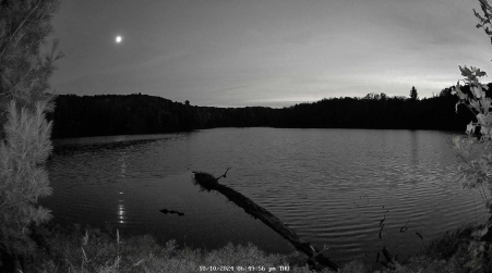 Image from 2024-10-10