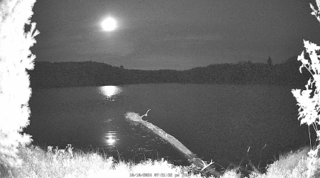 Image from 2024-10-10