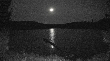 Image from 2024-10-10