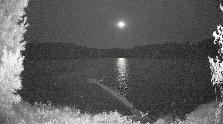 Image from 2024-10-10