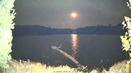 Image from 2024-10-10