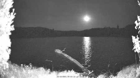Image from 2024-10-10