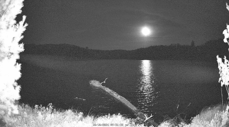 Image from 2024-10-10