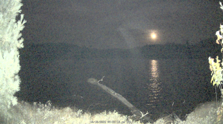 Image from 2024-10-10