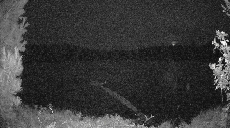 Image from 2024-10-10