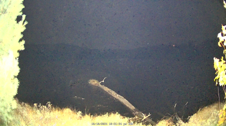 Image from 2024-10-10