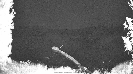 Image from 2024-10-10