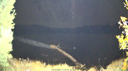 Image from 2024-10-10