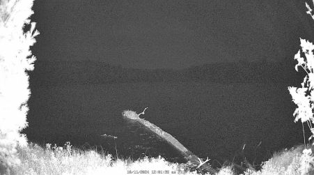Image from 2024-10-11