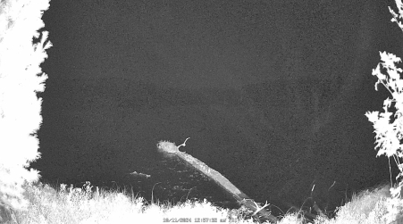 Image from 2024-10-11