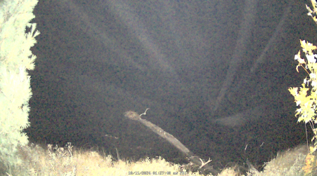Image from 2024-10-11