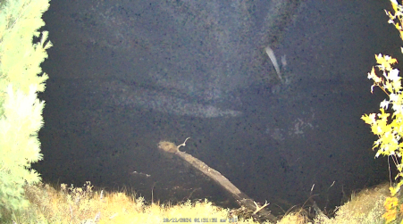 Image from 2024-10-11