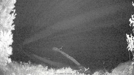 Image from 2024-10-11