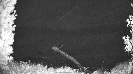 Image from 2024-10-11