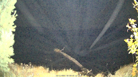 Image from 2024-10-11