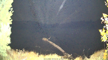 Image from 2024-10-11