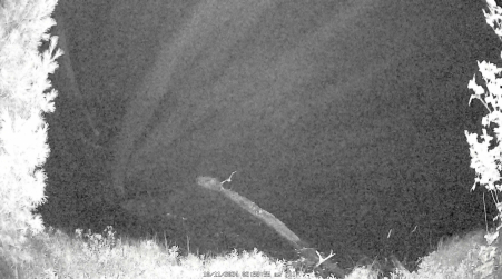 Image from 2024-10-11