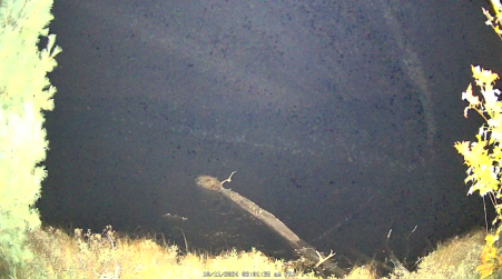 Image from 2024-10-11