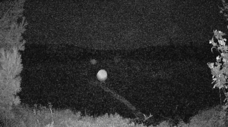 Image from 2024-10-11