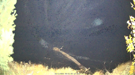 Image from 2024-10-11