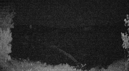 Image from 2024-10-11