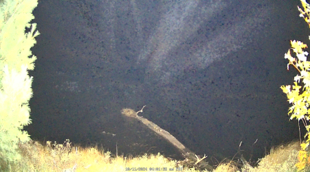 Image from 2024-10-11