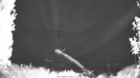 Image from 2024-10-11