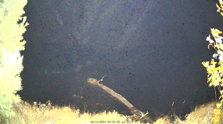 Image from 2024-10-11