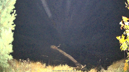 Image from 2024-10-11