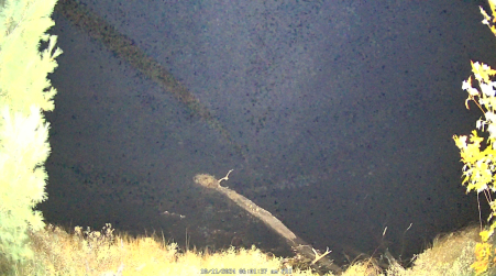 Image from 2024-10-11