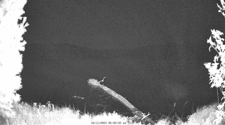 Image from 2024-10-11