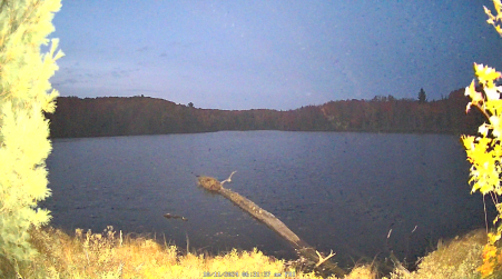 Image from 2024-10-11