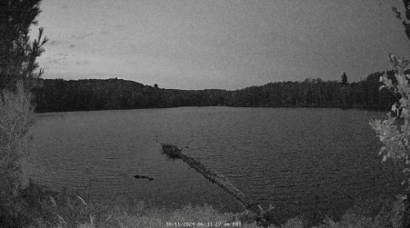Image from 2024-10-11