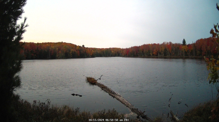 Image from 2024-10-11