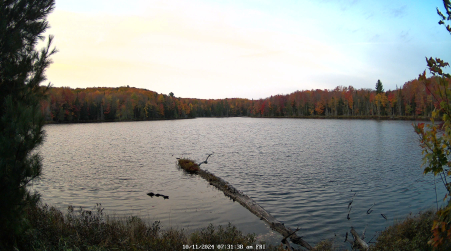 Image from 2024-10-11
