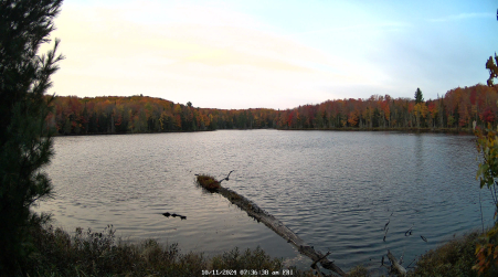 Image from 2024-10-11