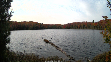 Image from 2024-10-11