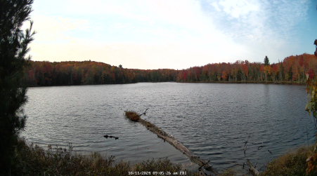 Image from 2024-10-11
