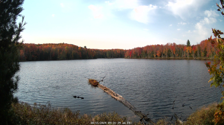 Image from 2024-10-11
