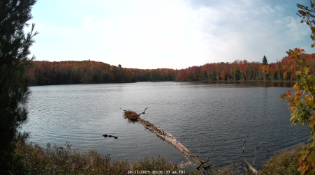 Image from 2024-10-11
