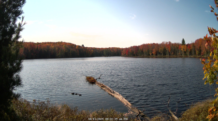 Image from 2024-10-11
