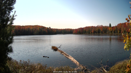 Image from 2024-10-11