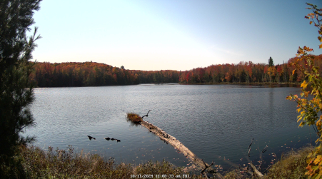 Image from 2024-10-11