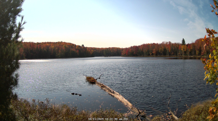 Image from 2024-10-11
