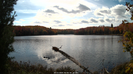 Image from 2024-10-11