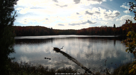 Image from 2024-10-11
