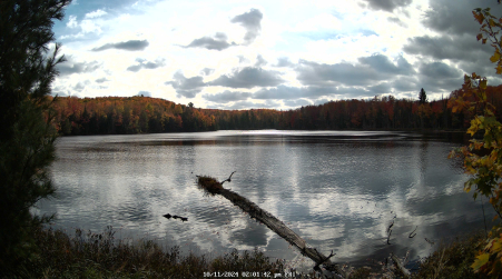 Image from 2024-10-11
